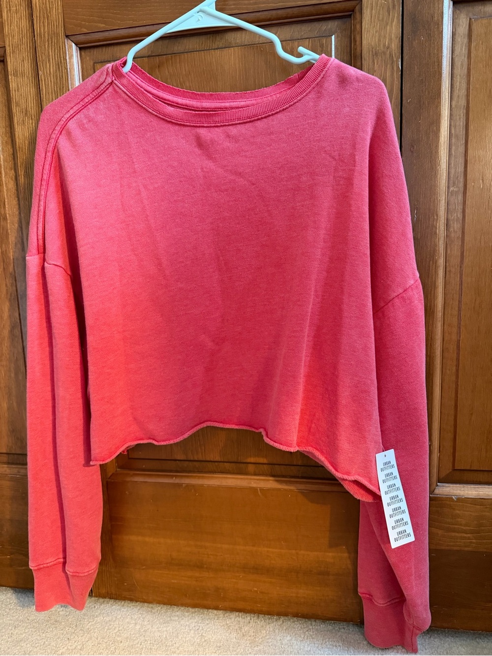 NWT Women's Urban Outfitters Cropped Long-Sleeve Sweatshirt — Pink